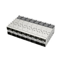 sfp28 2x8